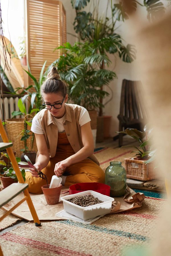 Quelles plantes choisir pour un jardin urbain efficace ?